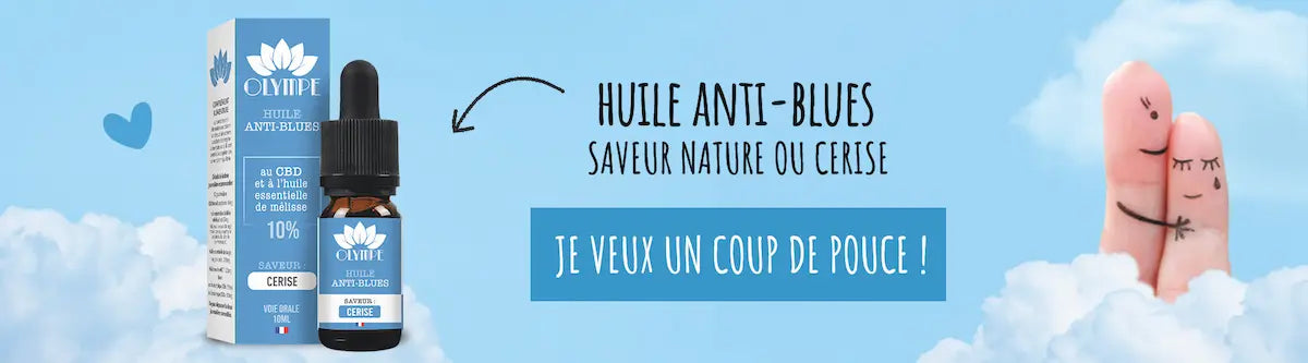 BANNIERE HUILE ANTI BLUES